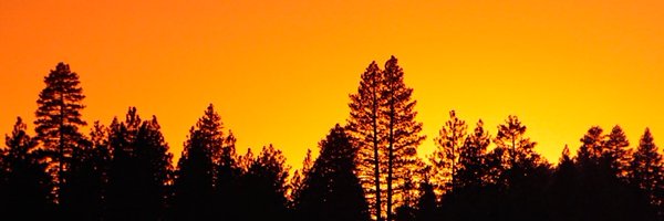 impatk Profile Banner