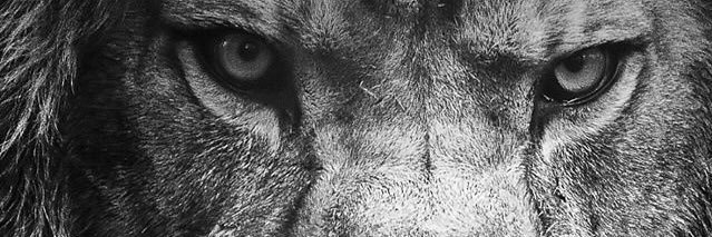 DylanDelmaire's profile banner image