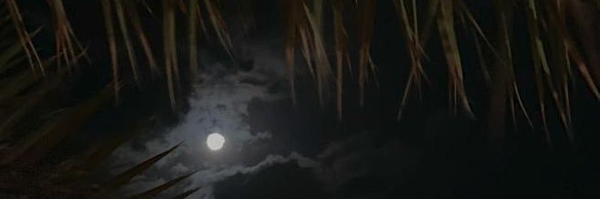 79 banner