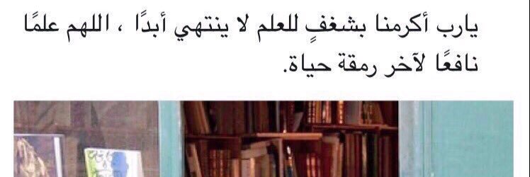 ShahdAlHoudif's profile banner image