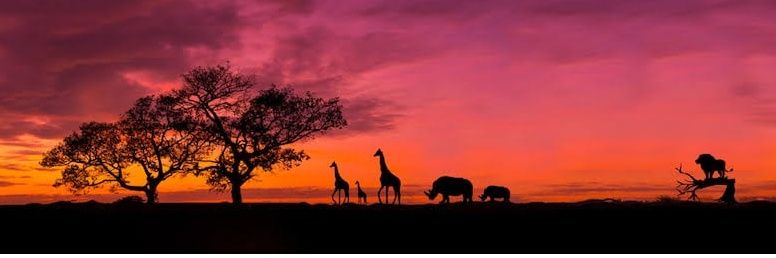 TKModipane's profile banner image