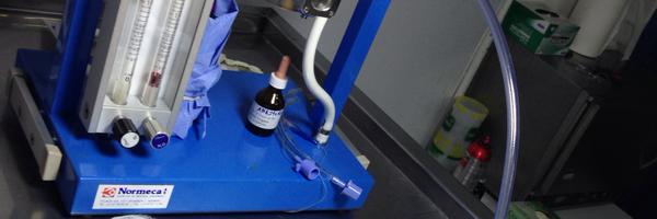 Pawsvetlab Profile Banner