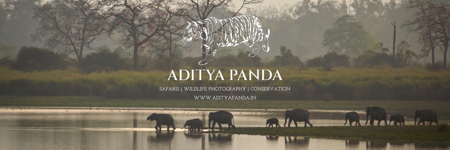 Aditya Panda banner