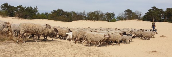 GerbenMook Profile Banner