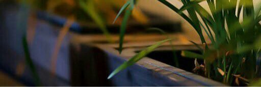 jole_m's profile banner image