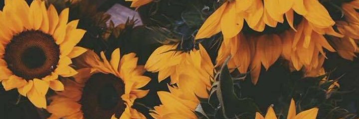 AlmaaMatters's profile banner image