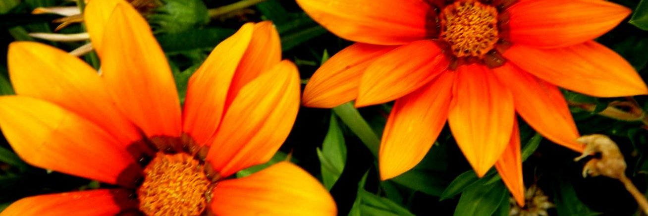 TainaDufunk_'s profile banner image