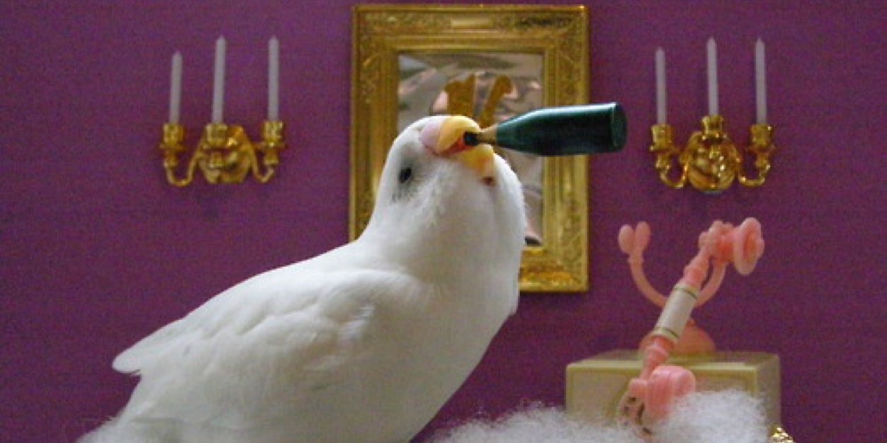 SonOfHoward's profile banner image