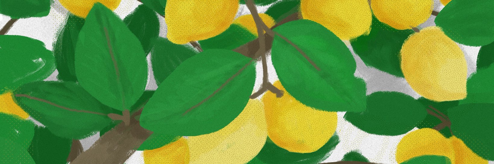 daniela rogoza banner