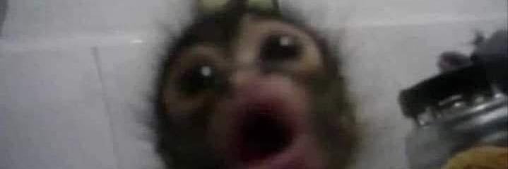 Rasheeeeeed_'s profile banner image