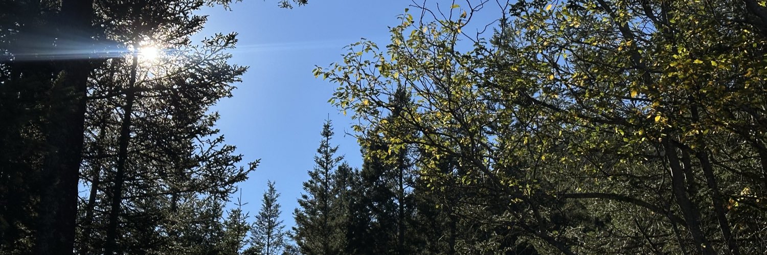 AlbertoSiller's profile banner image