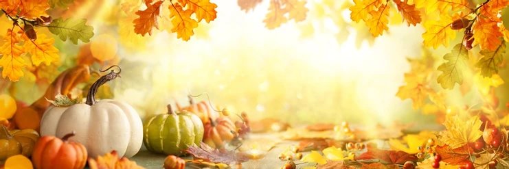 JustAGirl_zero's profile banner image