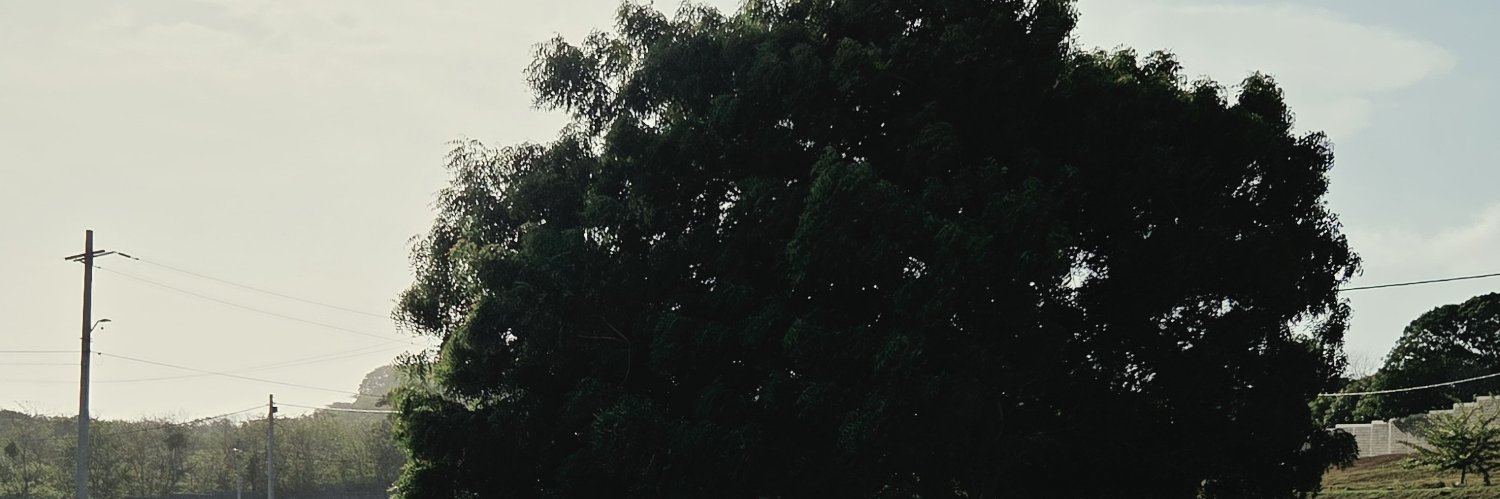 Vrrrautt's profile banner image
