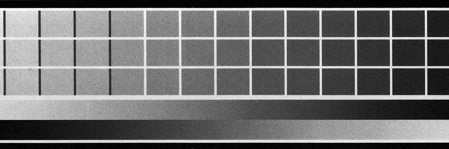 fotorat's profile banner image