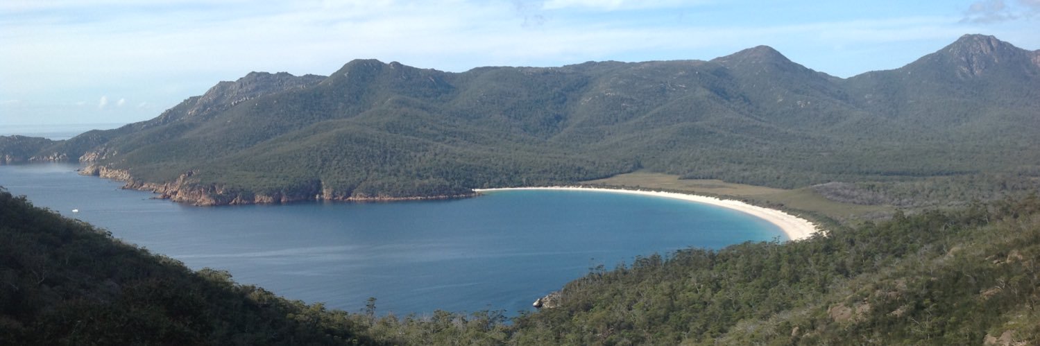 longy1111's profile banner image
