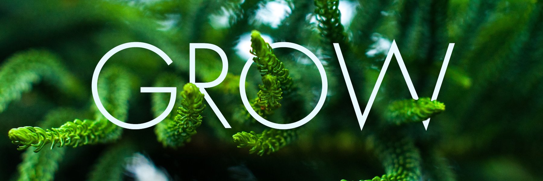 LenaDawood's profile banner image