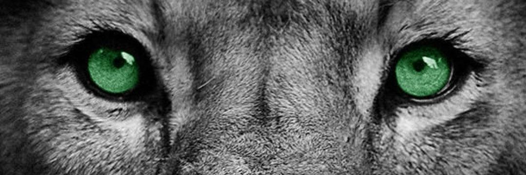 Héctor banner