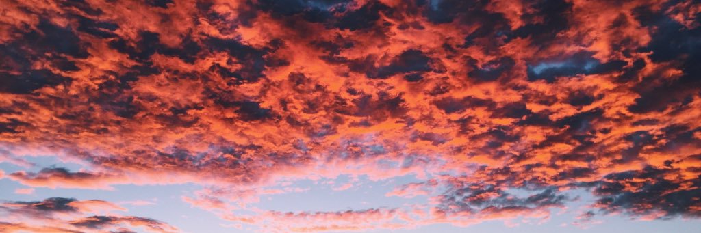 mfdd_8's profile banner image