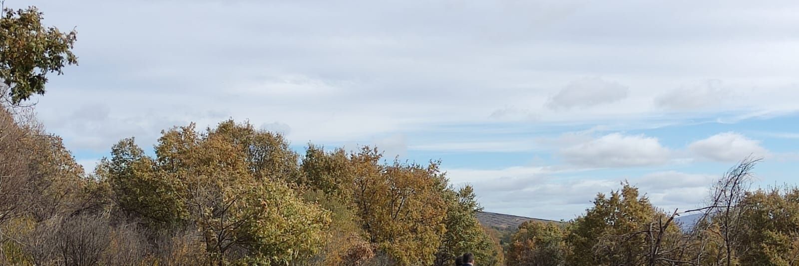 jrep41's profile banner image