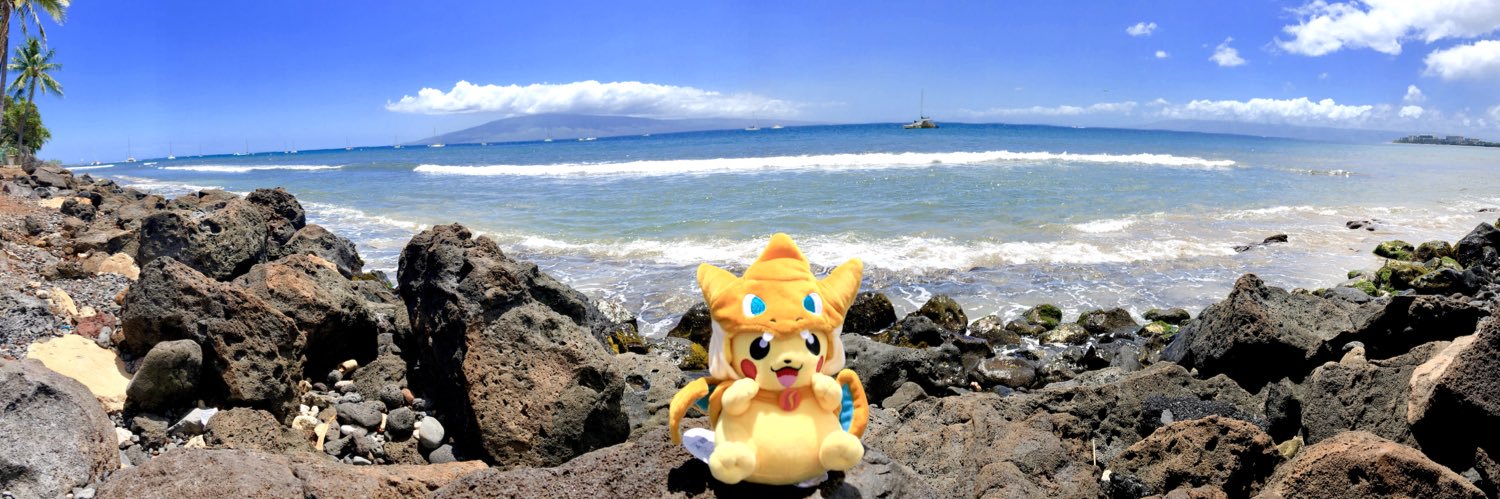 Xavier Adaro Grayson banner