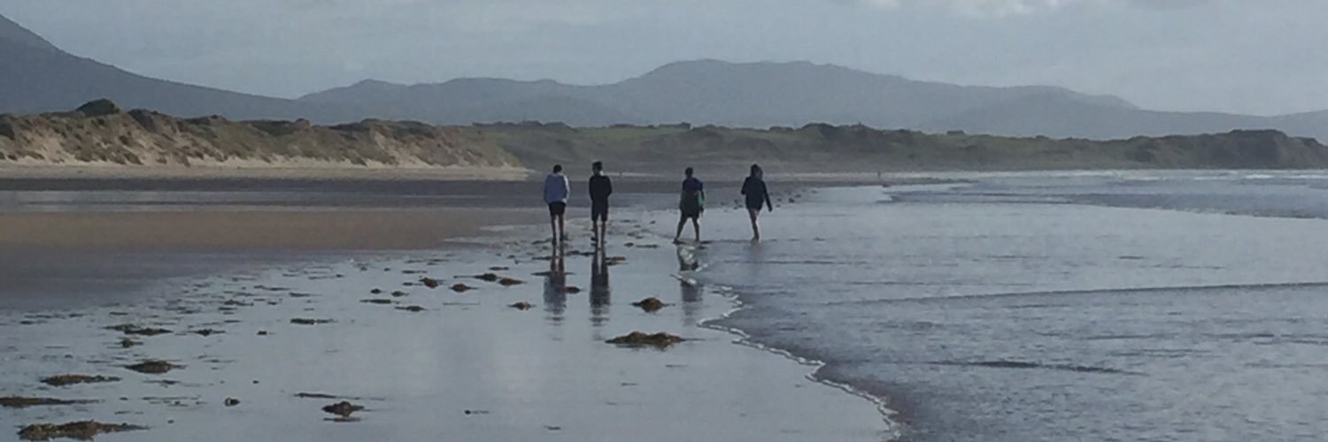 MSwaineCullivan's profile banner image