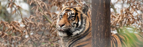 SheprethWPark Profile Banner