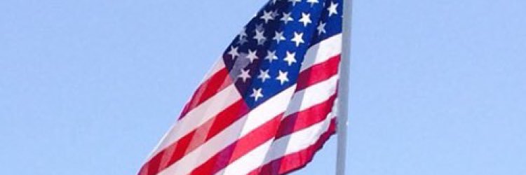 vitale_nick's profile banner image