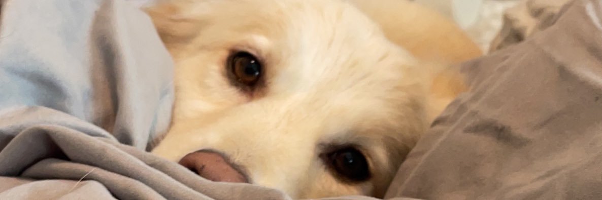 _anakperez's profile banner image