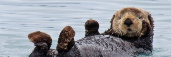 emmabgo Profile Banner