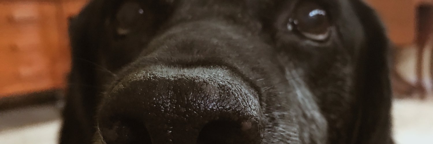 marisakthompson's profile banner image