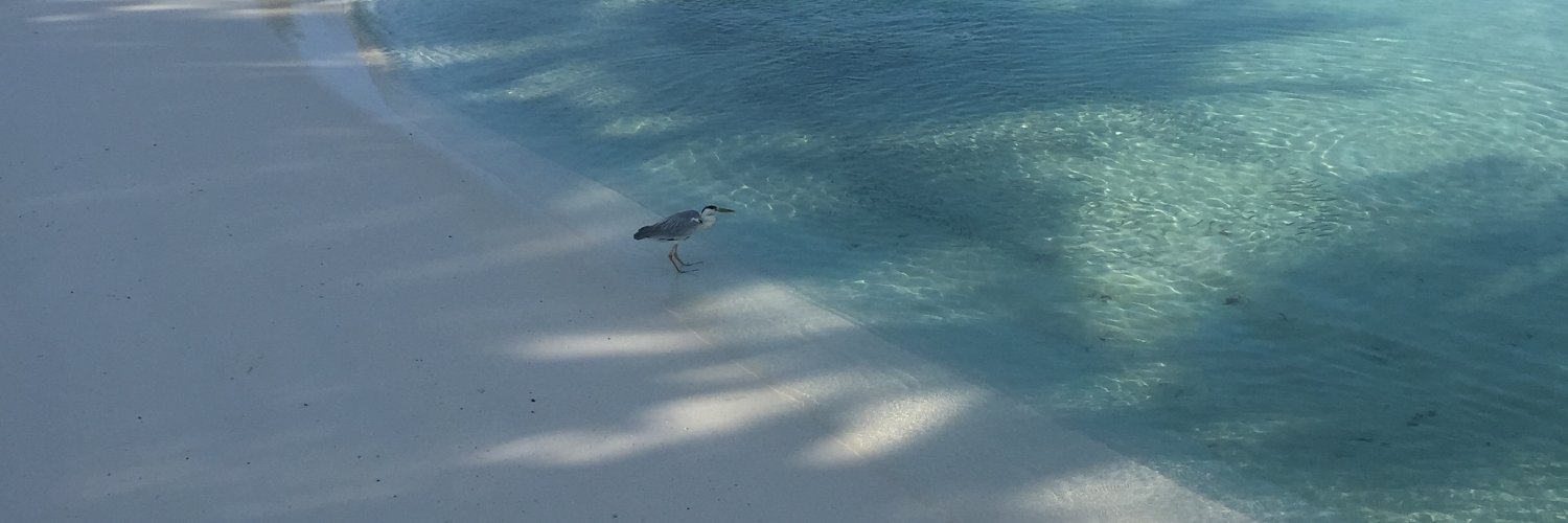 Nabreesa Murphy banner