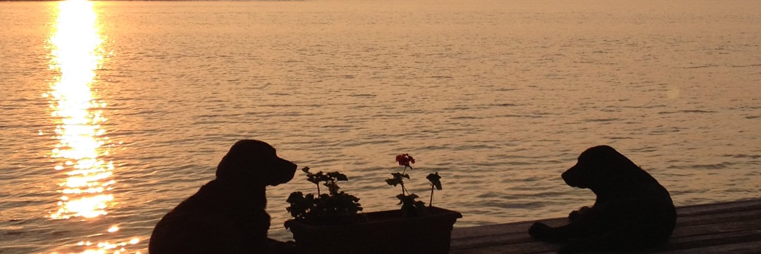 BarbMcArthur's profile banner image