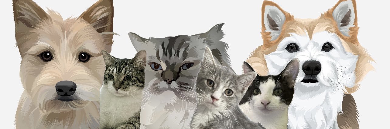 KittyCathyx33's profile banner image