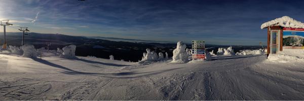 drmarcustan Profile Banner