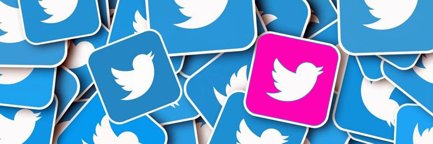 _gallina_'s profile banner image