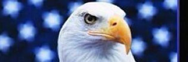 Sharkman690 Profile Banner