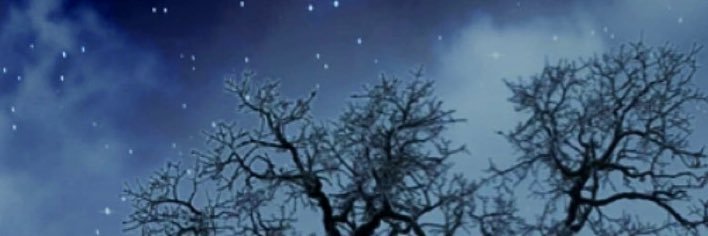 Fabiola Juarez 💫 banner