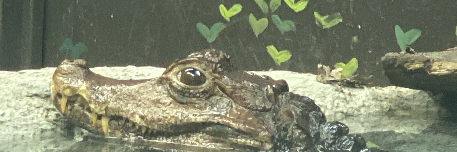 hereismoth's profile banner image