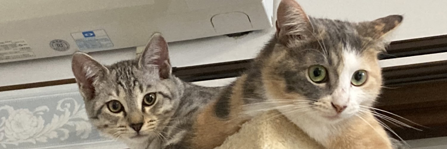 muumzilla's profile banner image