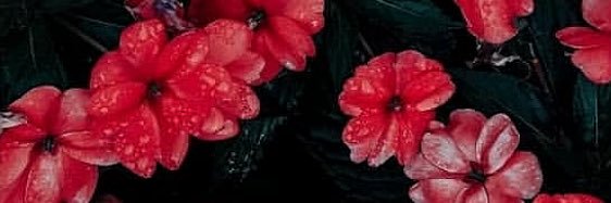 hello_IsNat's profile banner image