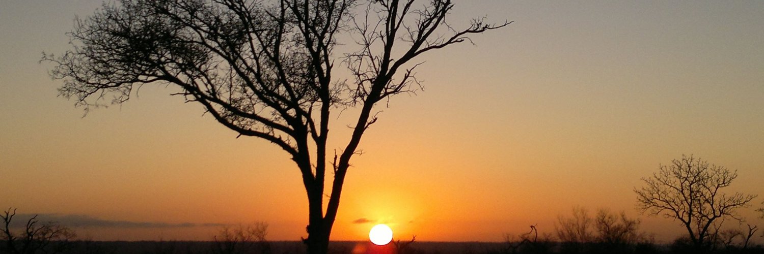 DoctorFunky's profile banner image