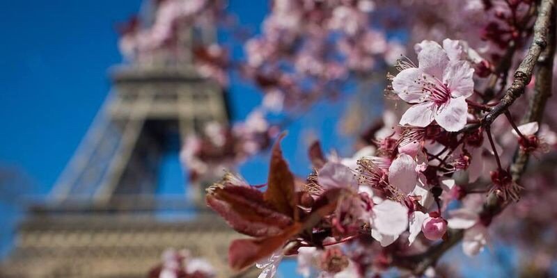 BasmaBlooshi's profile banner image