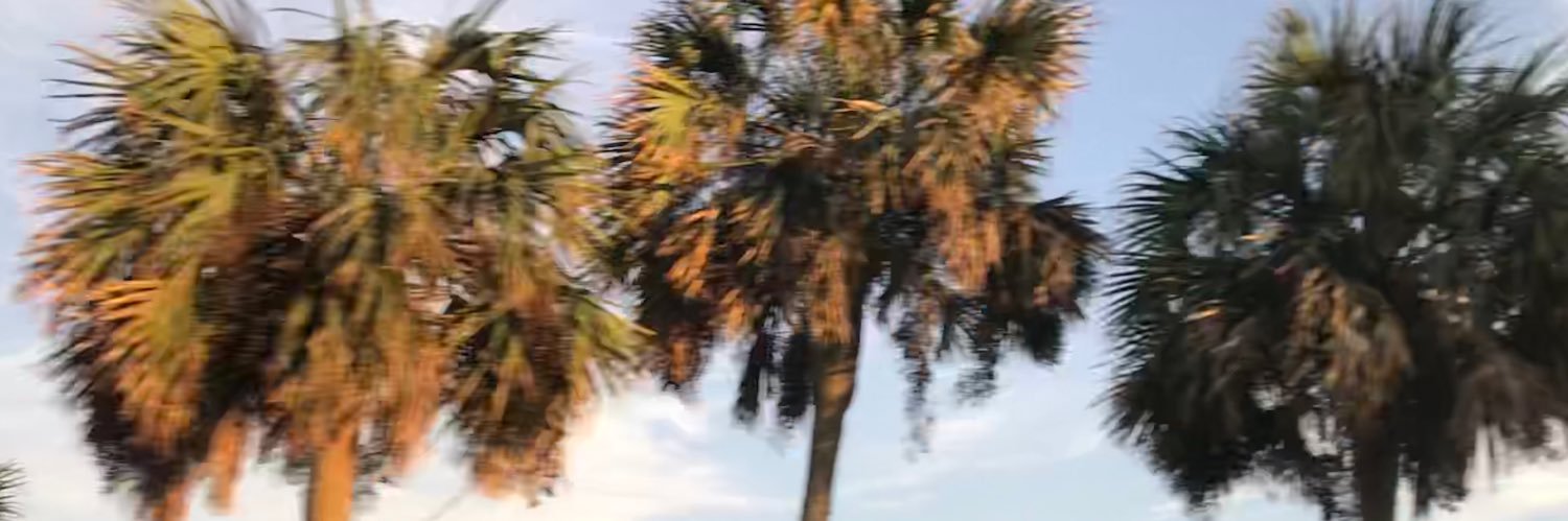 ErinPower01's profile banner image