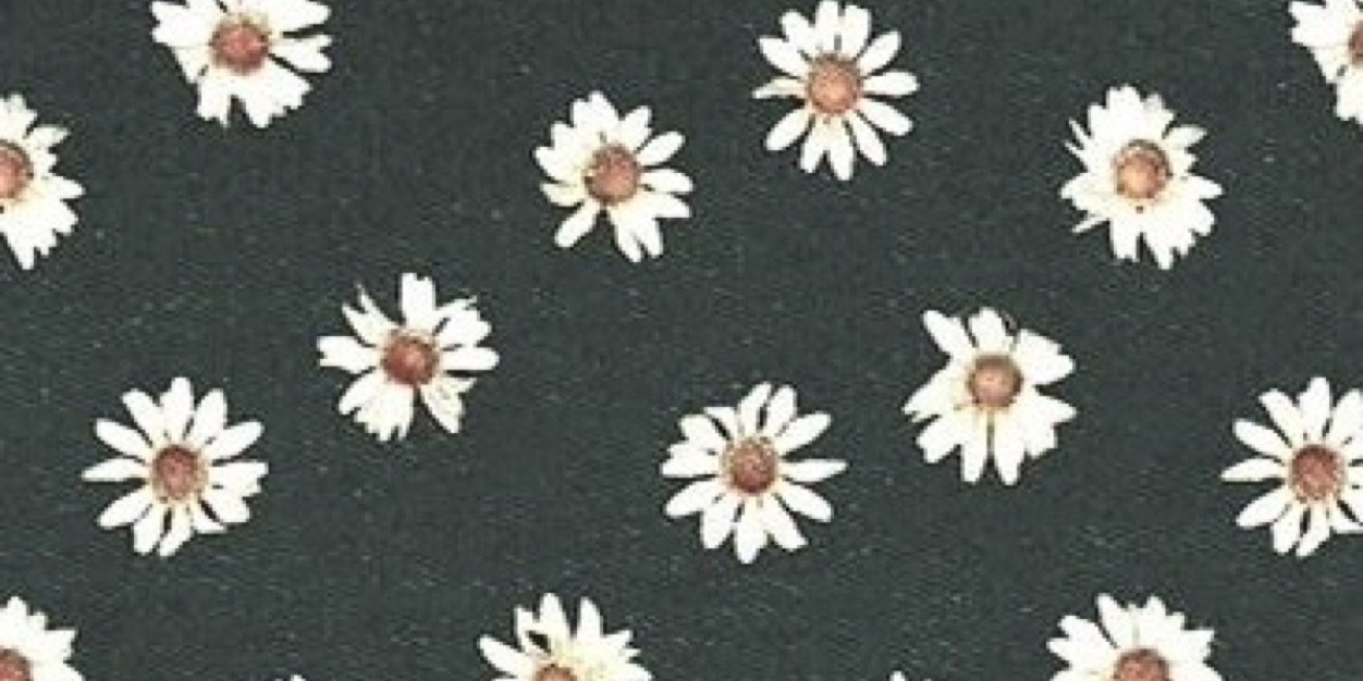 glitzylilo's profile banner image