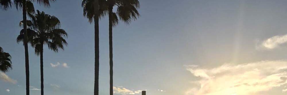 abbeySING's profile banner image