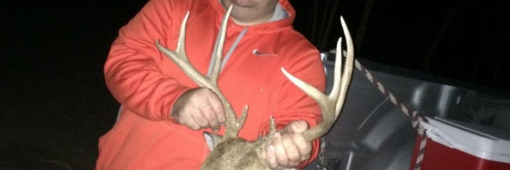 Show pig taxi (need sponsorship) banner