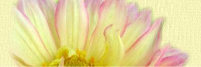 sparkm285's profile banner image