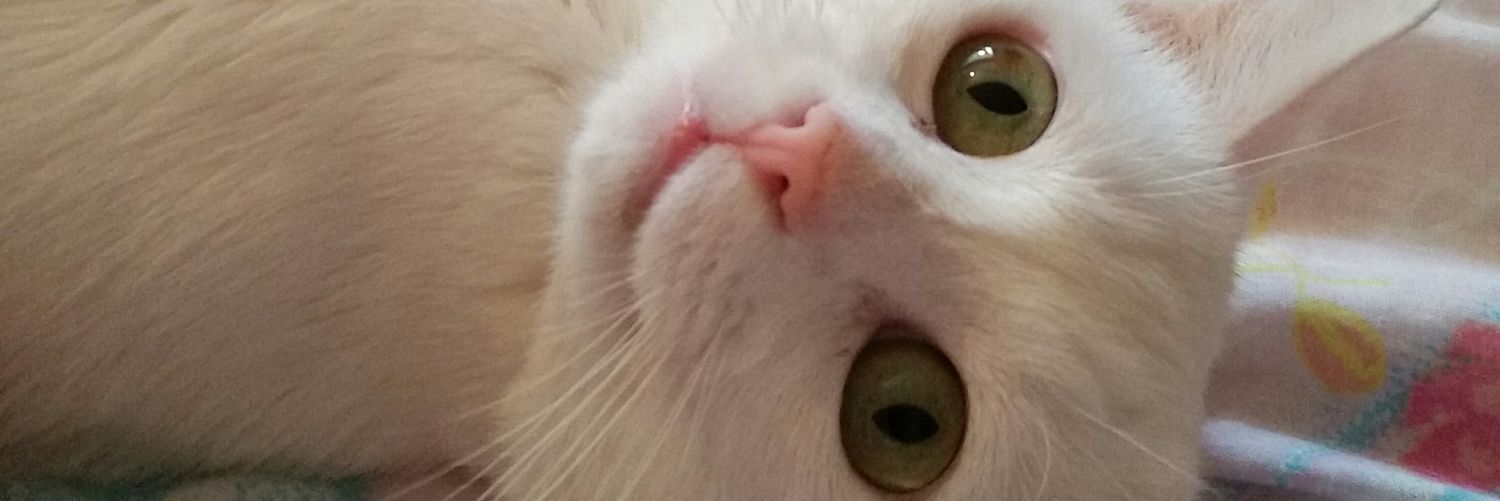 xtanyax_'s profile banner image