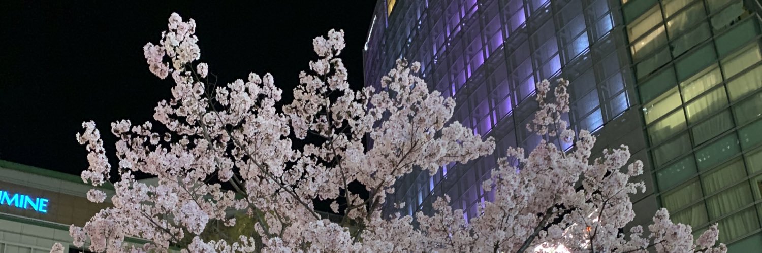 snegishi's profile banner image