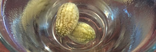 tkbalt Profile Banner